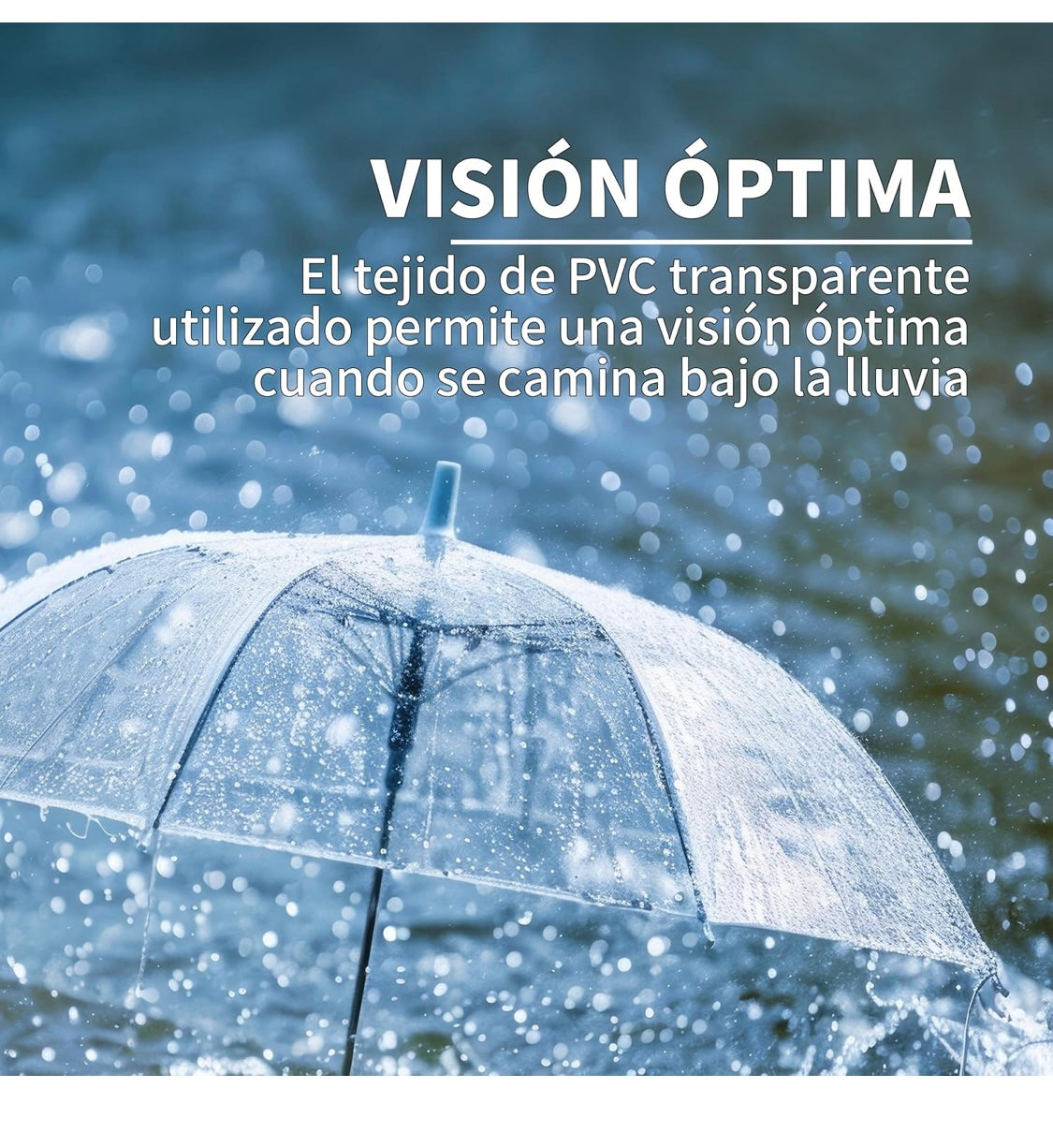 Paraguas Transparente